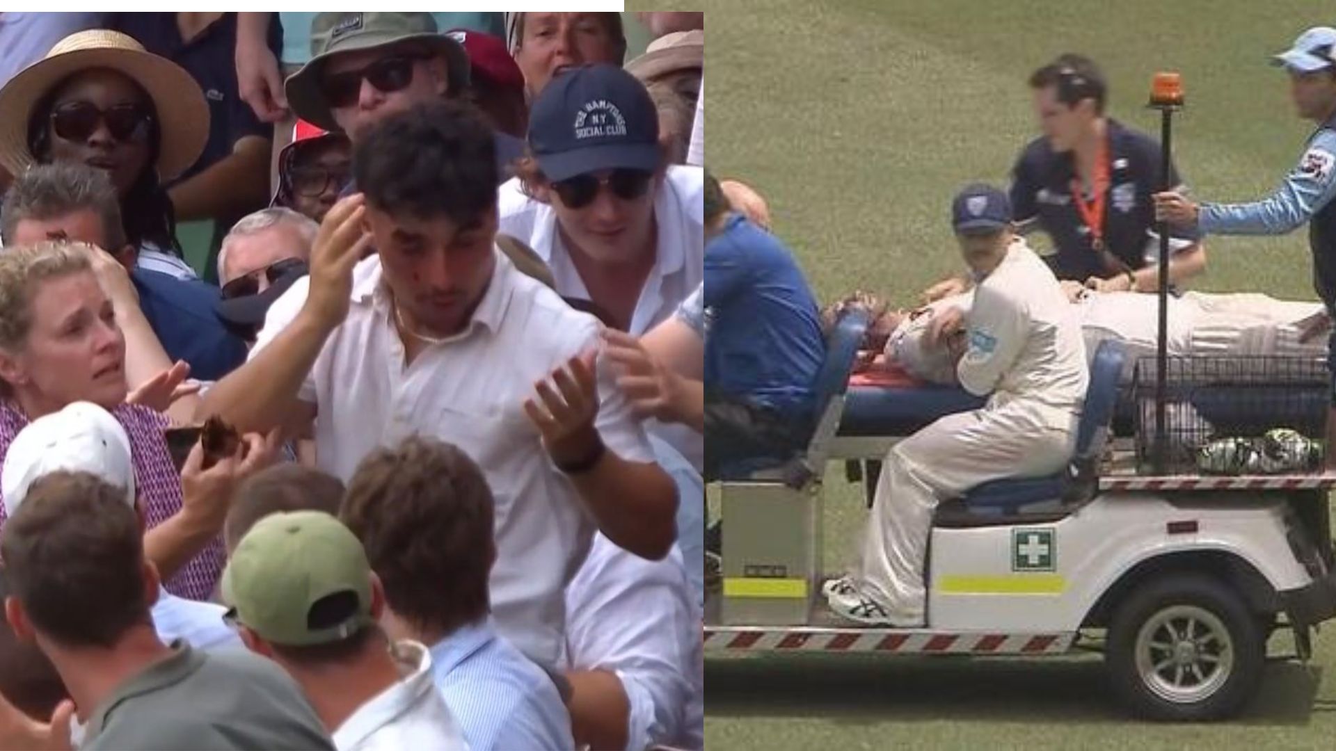 Sean Abbott's Six Hits Spectator In AUS-WI ODI; Brings Back Phil Hughes' Death Memories